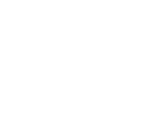 logo promech ultimate 06